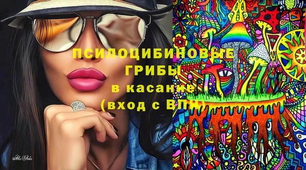 СК Медногорск