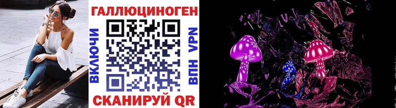 магазин продажи   блэк спрут как войти  Псилоцибиновые грибы Psilocybe  Новотроицк 