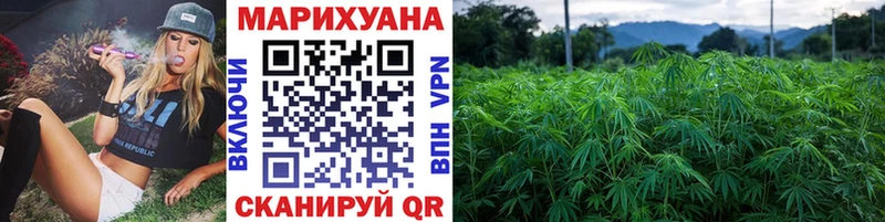 Конопля MAZAR  Новотроицк 